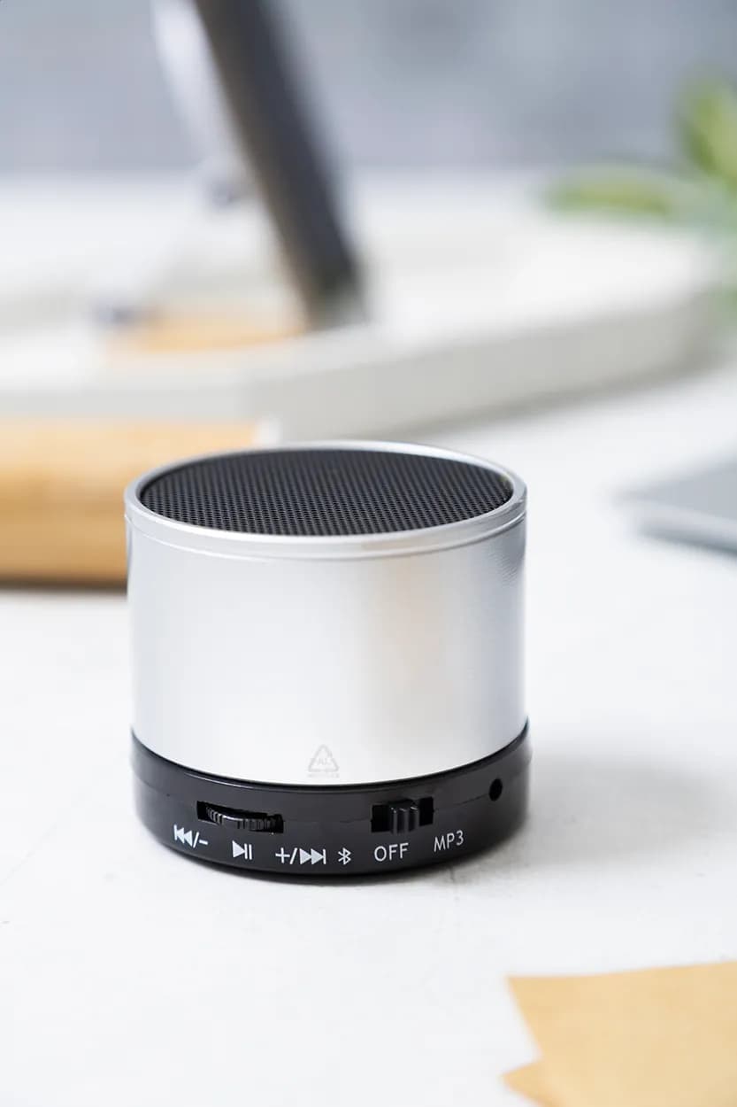 kabelloser Lautsprecher - Ralufi - silber (-21)