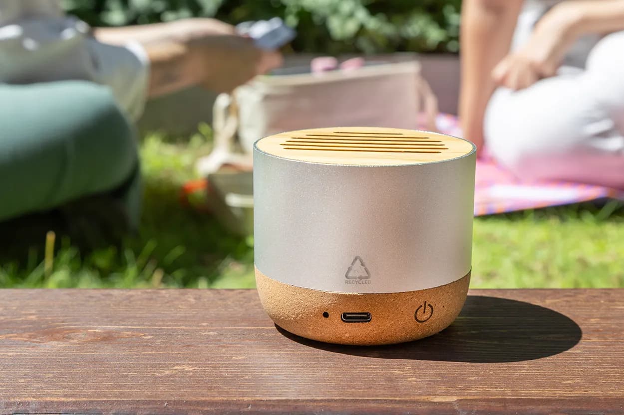 kabelloser Lautsprecher - Corbofi - silber (-21)