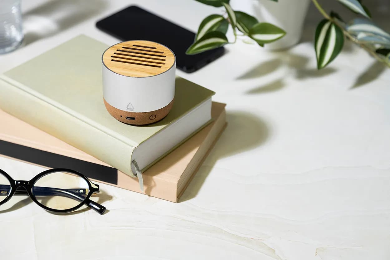 kabelloser Lautsprecher - Corbofi - silber (-21)