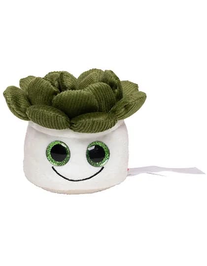 Schmoozies® Evergreenies® Sukkulente - Multicolour