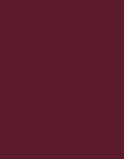 Polyneon 40 (1.000 m) - 1784 Red Wine