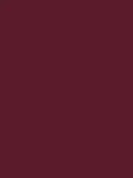 Polyneon 40 Green (5.000 m) - 1784 Red Wine
