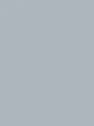 Polyneon 40 Green (5.000 m) - 1811 Silver Grey