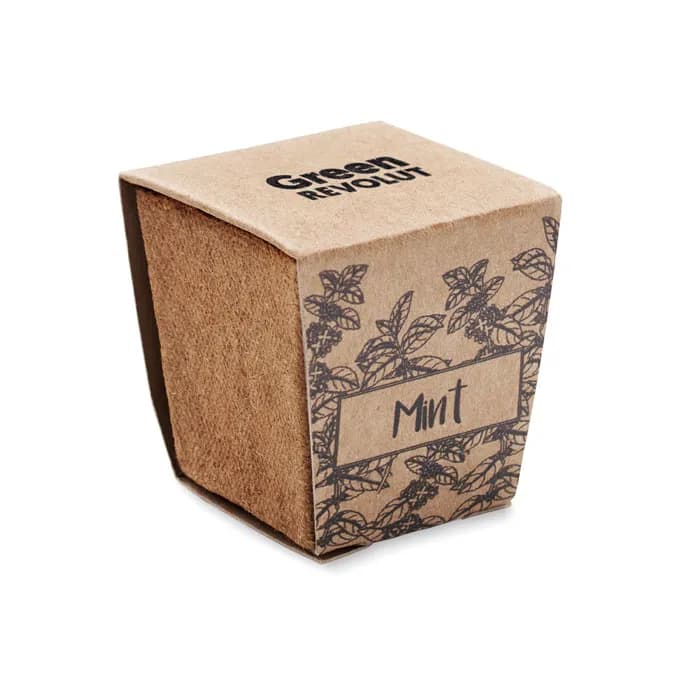 Pflanz-Set Minze - MINT KIT - Beige