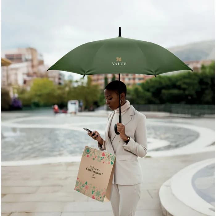 Windproof Regenschirm 23" - BRELA - Grün