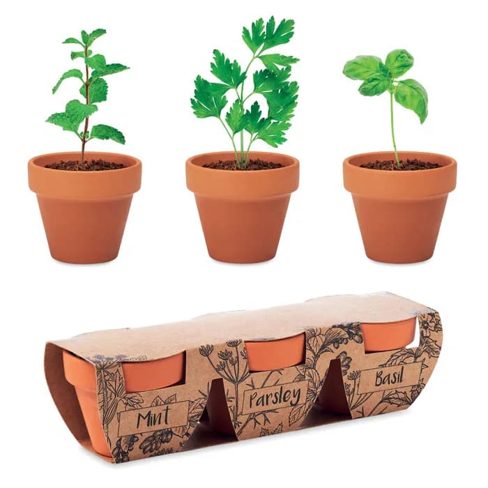 Terracotta-Set Kräuter - FLOWERPOT - Holz