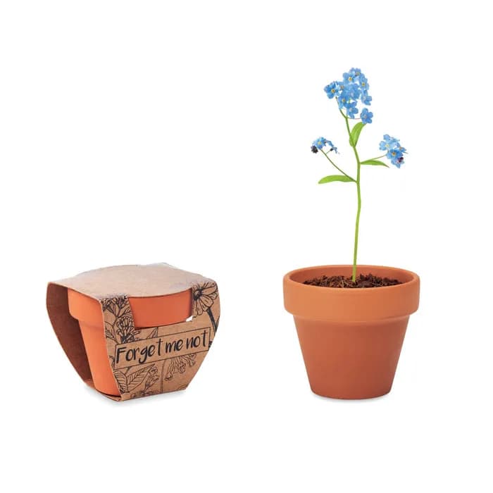 Terracotta-Topf Vergissmeinnich - FORGET ME NOT - Holz