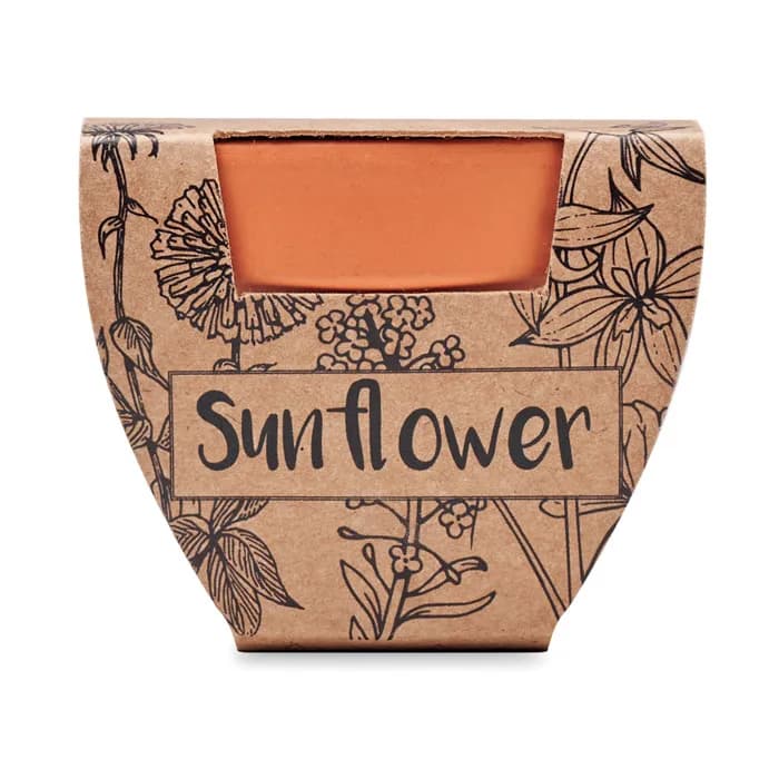 Terracotta-Topf Sonnenblume - SUNFLOWER - Holz