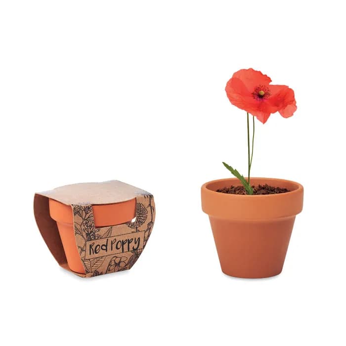 Terracotta-Topf Mohnblume - RED POPPY - Holz