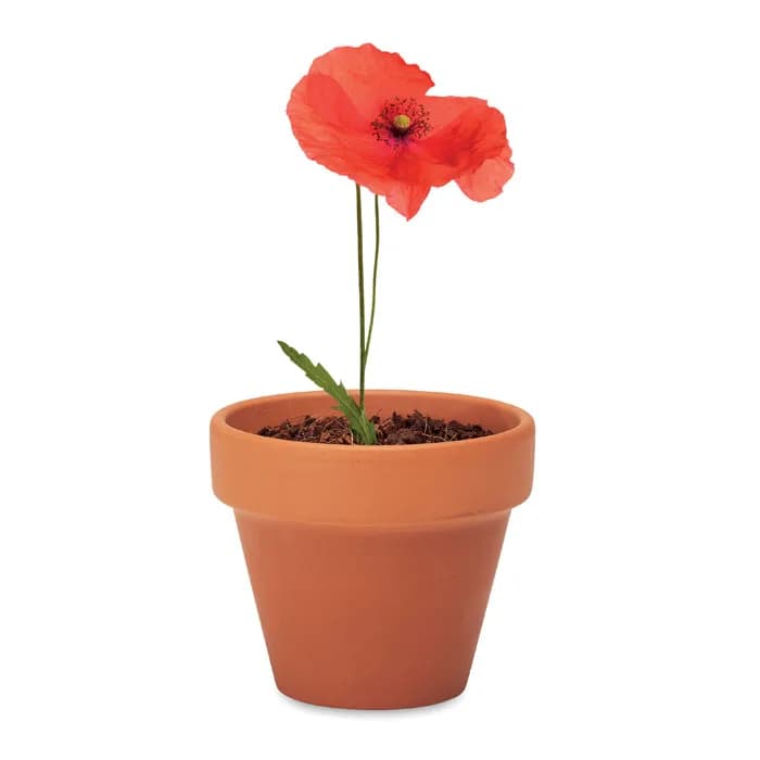 Terracotta-Topf Mohnblume - RED POPPY - Holz
