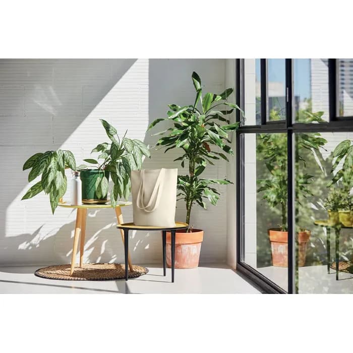 Canvas Shopping Tasche 270g/m² - RASSA - Beige