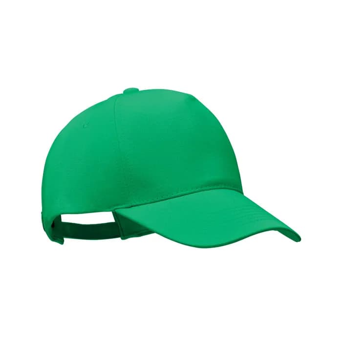 CAP ORGANIC COTTON 250 G/M² - BICCA CAP - Grün