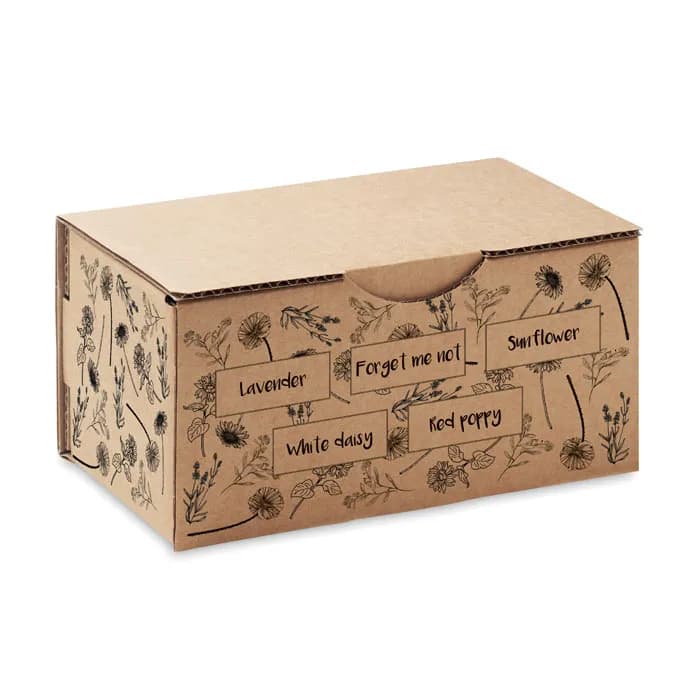 Saat-Set Sommerblumen - FLOWERS - Beige