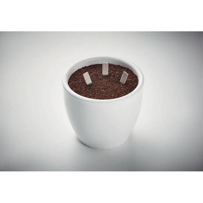 Kräutersamen-Sticks - LEYTI - Beige