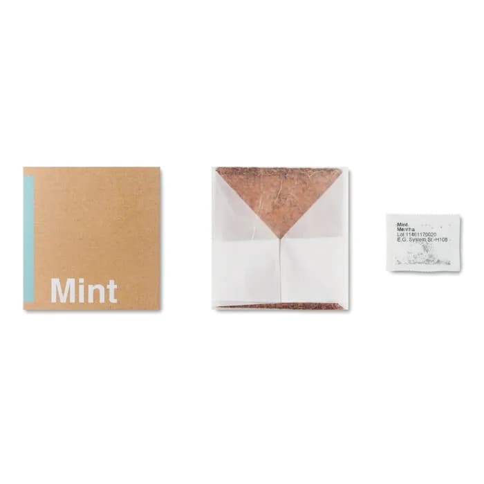Pflanz-Set "Minze" - MINT - Beige