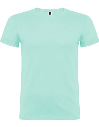 Beagle T-Shirt - Mint 98