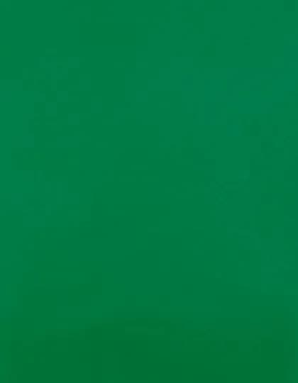 CAD-CUT® Premium Plus - Green 400 (ca. Pantone 7727C)