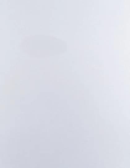 CAD-CUT® Premium Plus - Silver 815 (ca. Pantone 877C)