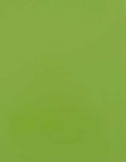 CAD-CUT® SportsFilm - Apple Green 421 (ca. Pantone 368C)