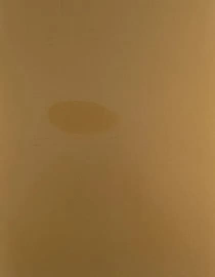 CAD-CUT® Premium Plus Sublistop - Gold 115 (ca. Pantone 871C)