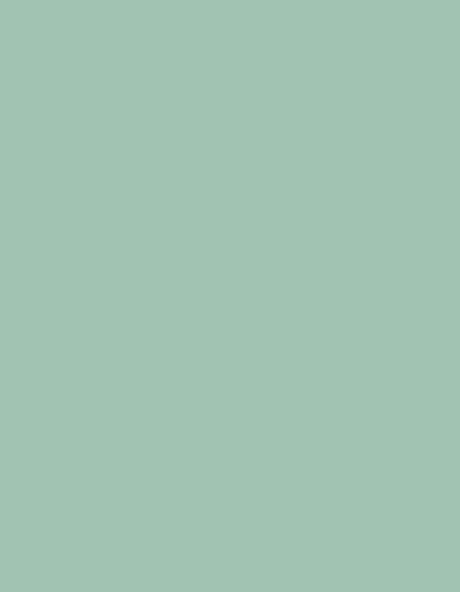 CAD-CUT® SportsFilm - Sage Green 423 (ca. Pantone 7537C)