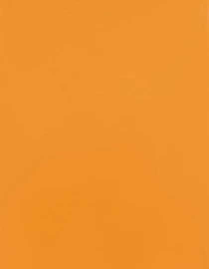 CAD-CUT® Premium Plus Sublistop - Light Orange 185 (ca. Pantone 1495C)