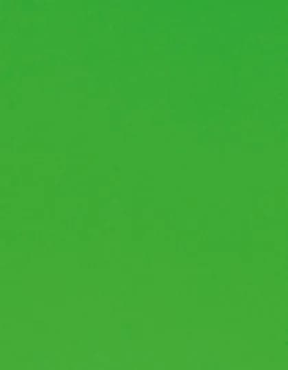 CAD-CUT® Flock - Neon Green 401