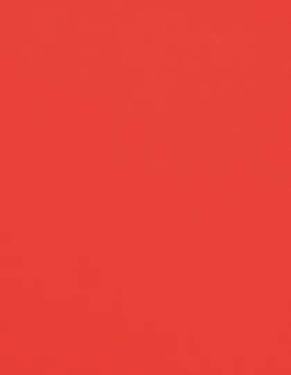 CAD-CUT® Flock - Neon Orange 181