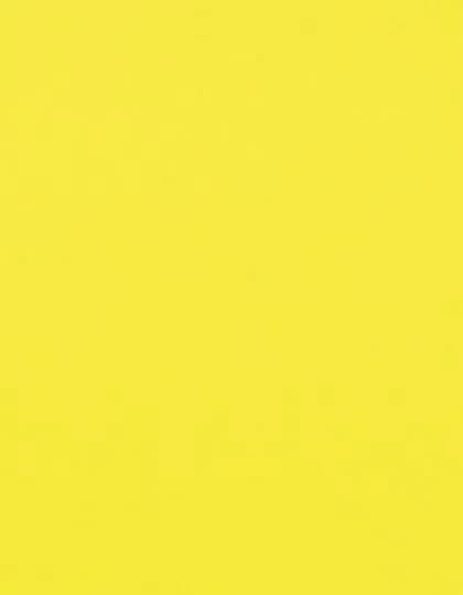 CAD-CUT® Flock - Neon Yellow 101