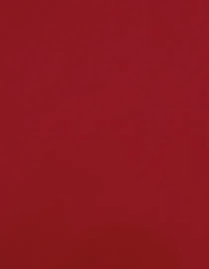 CAD-CUT® Premium Plus - Red 200 (ca. Pantone 186C)