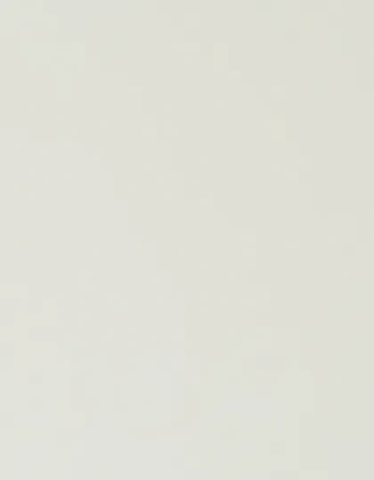 CAD-CUT® Basic Film - White 001