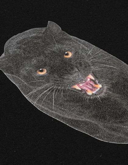 CAD-COLOR® Solvent Flock - Standard