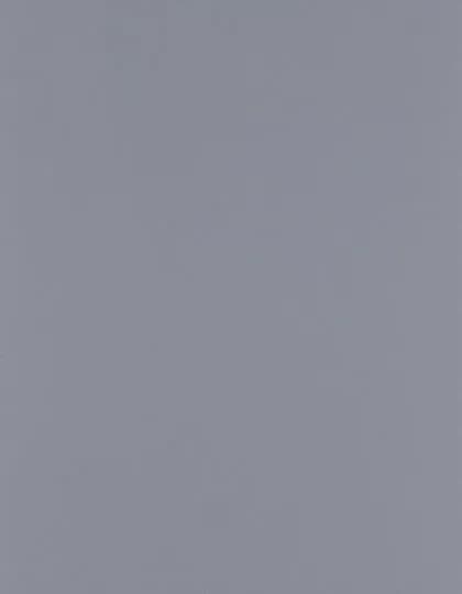 CAD-CUT® Silicone 200 - Grey 730 (ca. Pantone 422C)