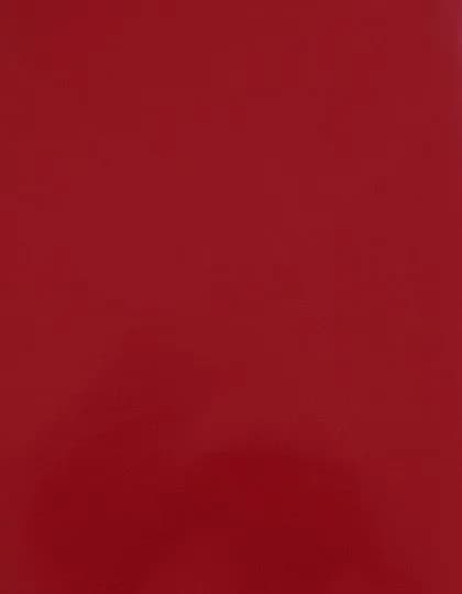 CAD-CUT® Silicone 500 - Red 200 (ca. Pantone 186C)