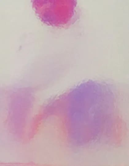 CAD-CUT® Disco - Red 2003