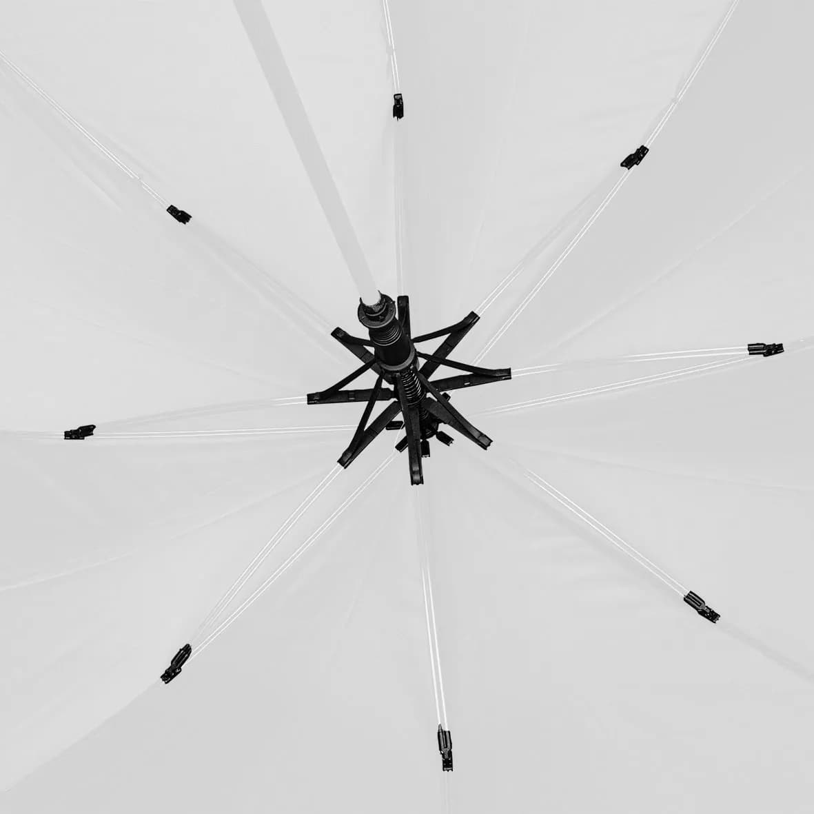 Gastschirm TWINNY - weiss