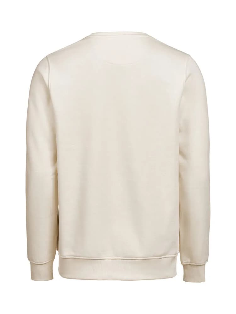 UM Pullover (OCS-RCS) Regular Fit Unisex - Birch
