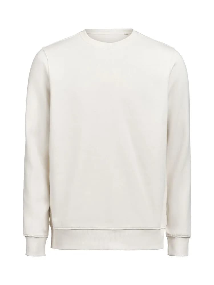 UM Pullover (OCS-RCS) Regular Fit Unisex - Birch