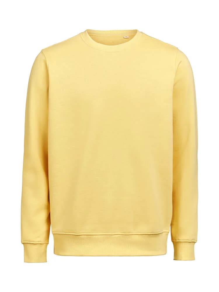 UM Pullover (OCS-RCS) Regular Fit Unisex - Ray