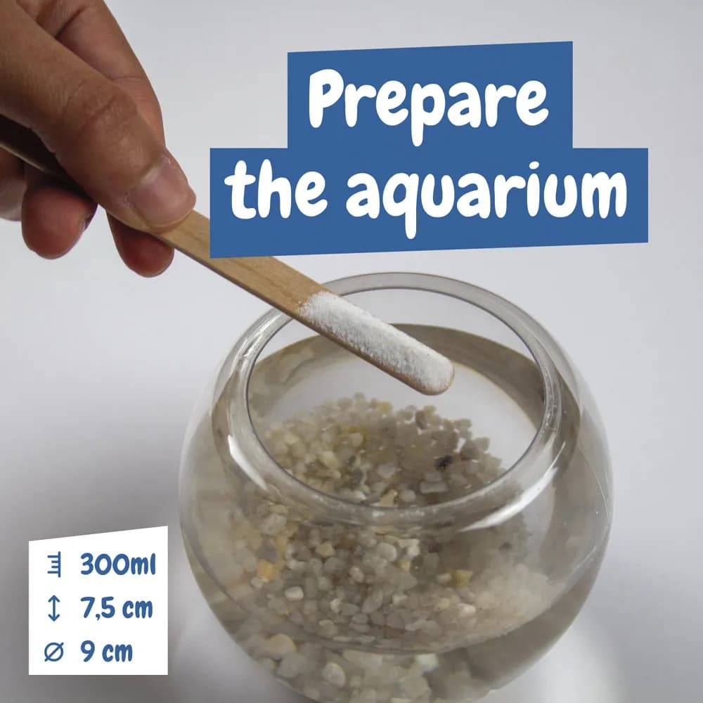 Lernspiel für Kinder - Jurassic Pets Kit I - Gemischt