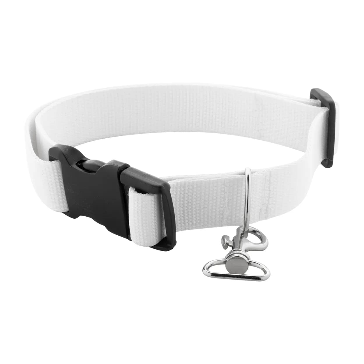 Individuelles Hundehalsband - Ziggy - weiß