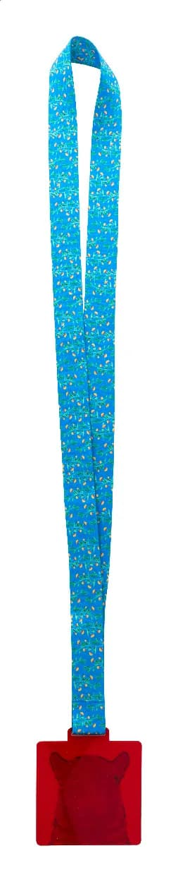 Individuelle Medaille - Subdal Colour Square - rot/transparent (-05T)