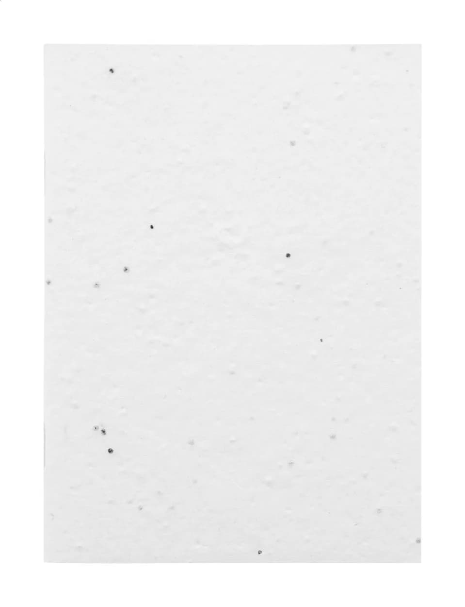 individuelles Saatpapier-Notizbuch - CreaNote A6 Seed - weiß