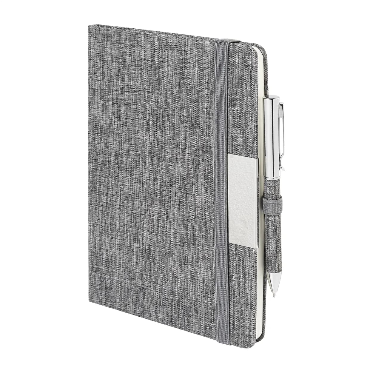 Notizbuch-Set - Spinosa - grau (-77)