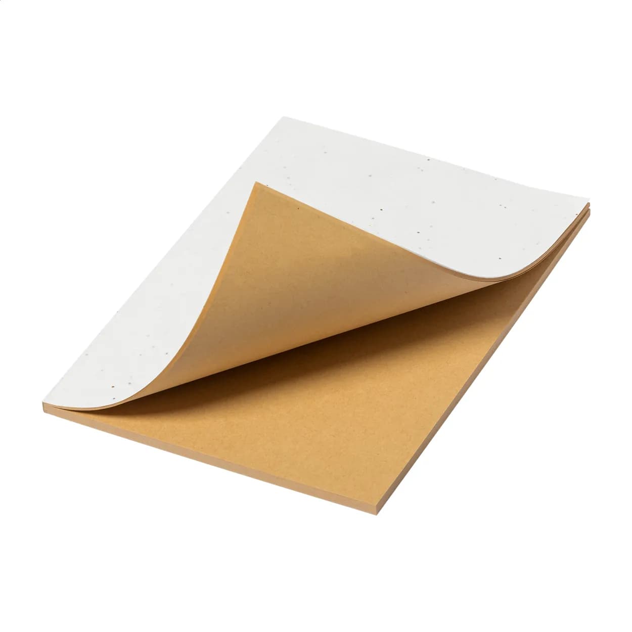 Samenpapier/Notizbuch - Semeno Note - natur (-01)