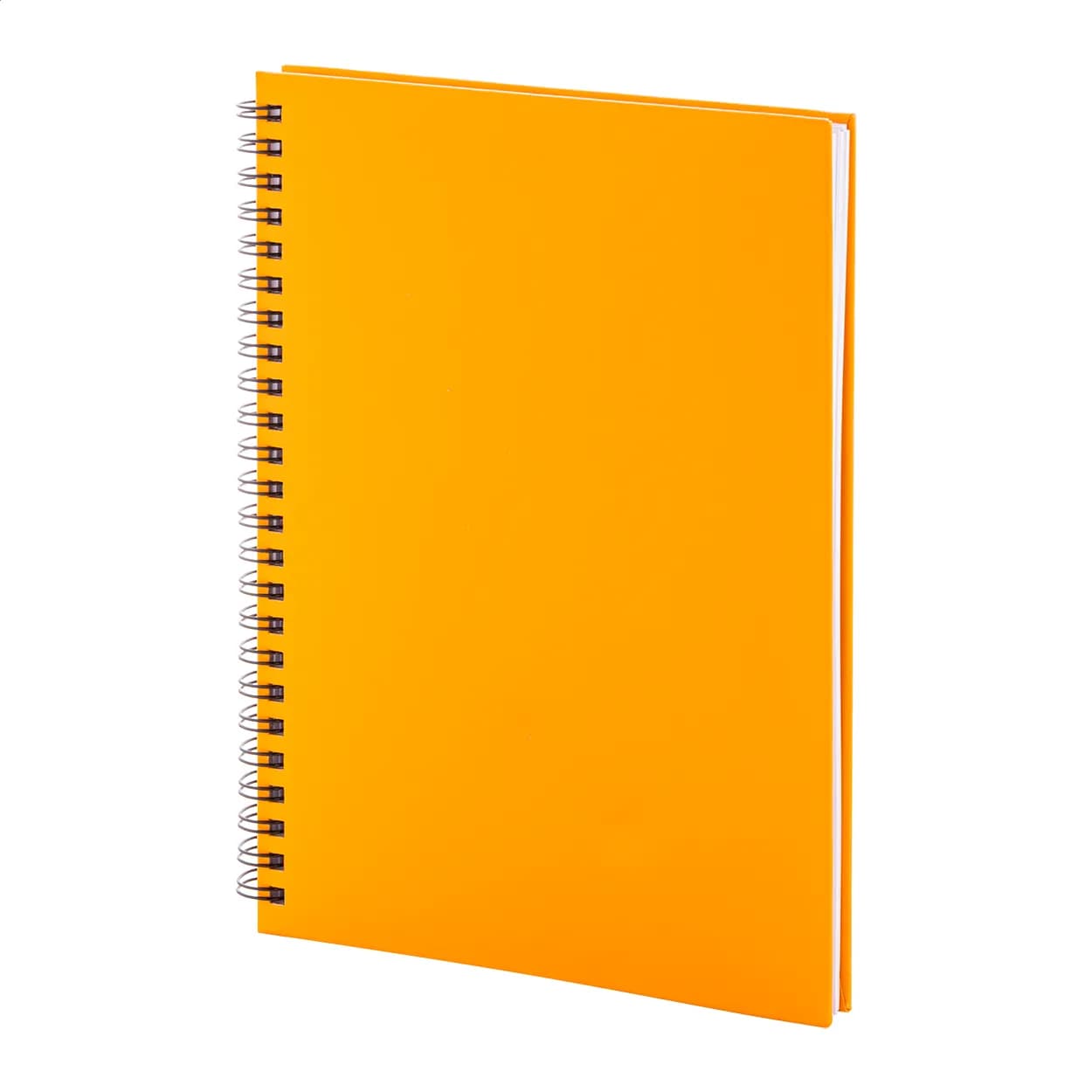 Notizbuch - Strobus A5 - orange (-03)
