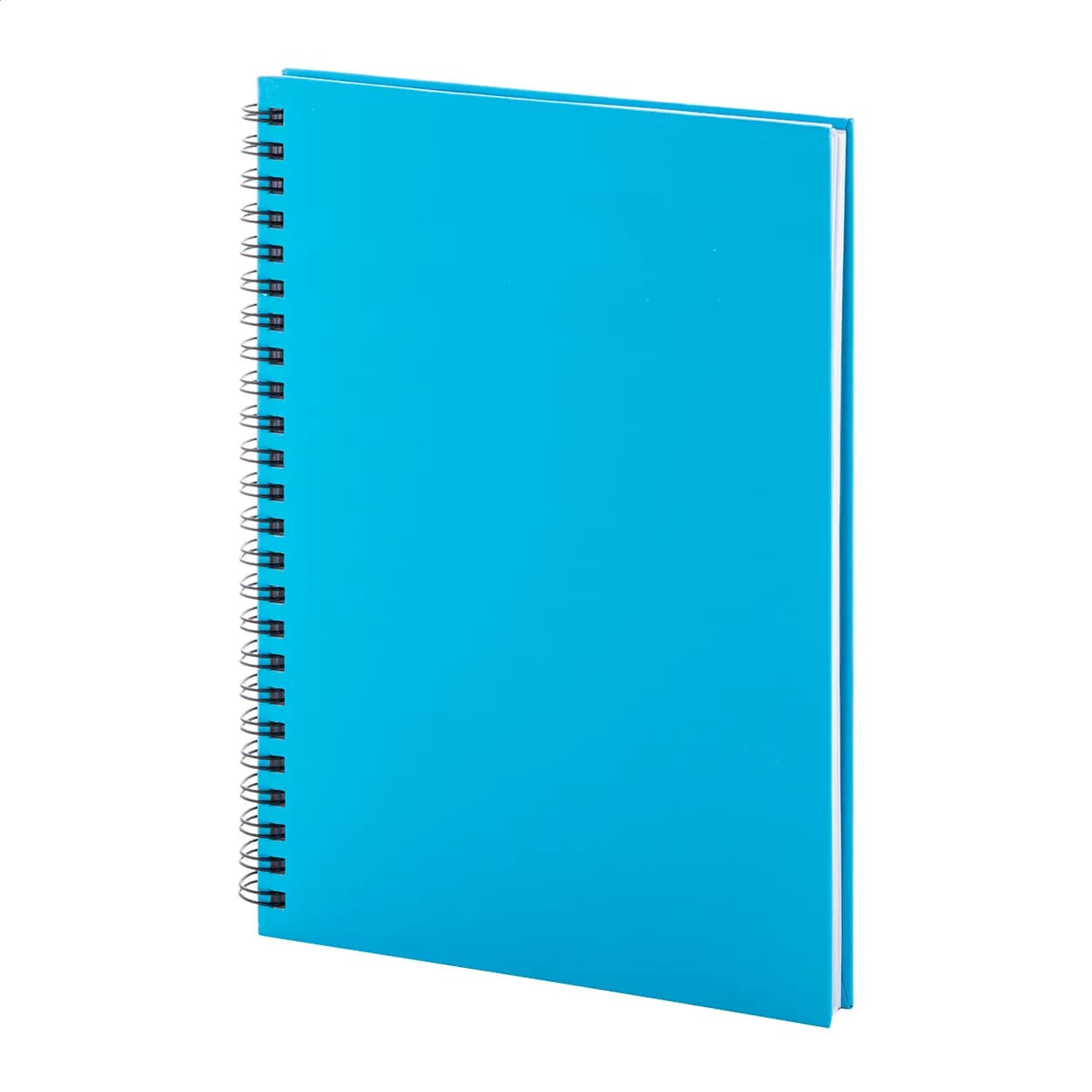 Notizbuch - Strobus A5 - hellblau (-06V)