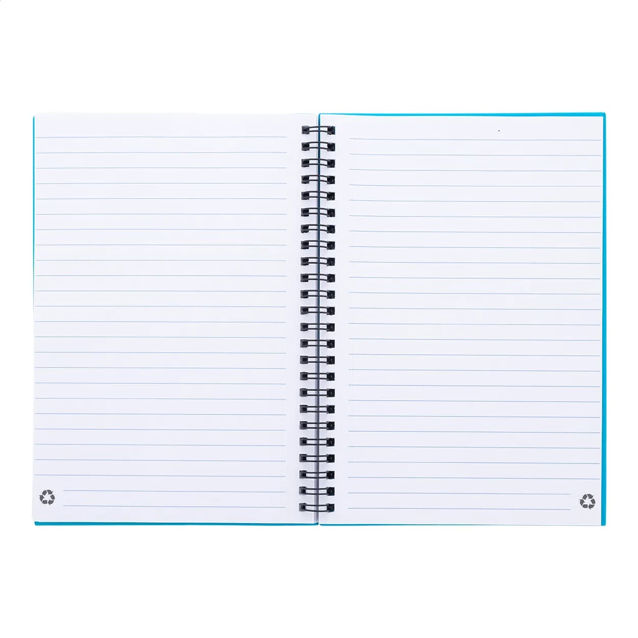 Notizbuch - Strobus A5 - hellblau (-06V)