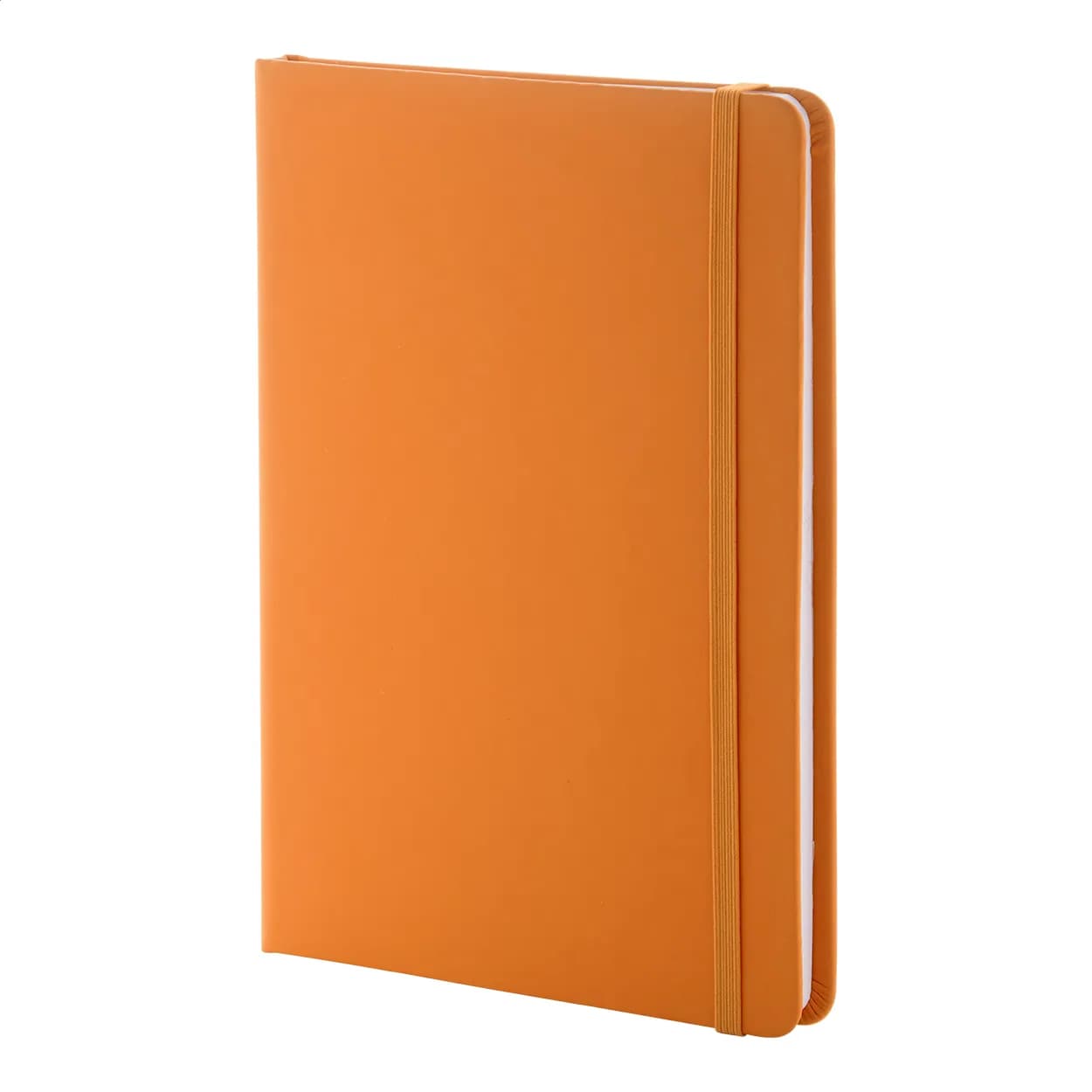 RPU Notizbuch - Repuk Line A5 - orange (-03)
