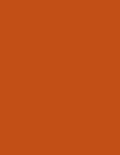 Polyneon 40 (1.000 m) - 1621 Burnt Orange